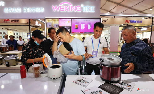 双星闪耀三十载 橙乡丰景正当时——记家电家居商贸的卓越发展